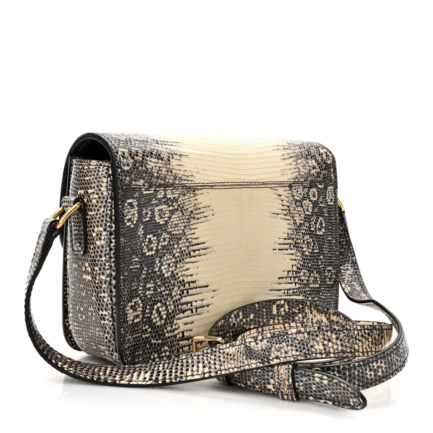 Lizard Teen Triomphe Natural