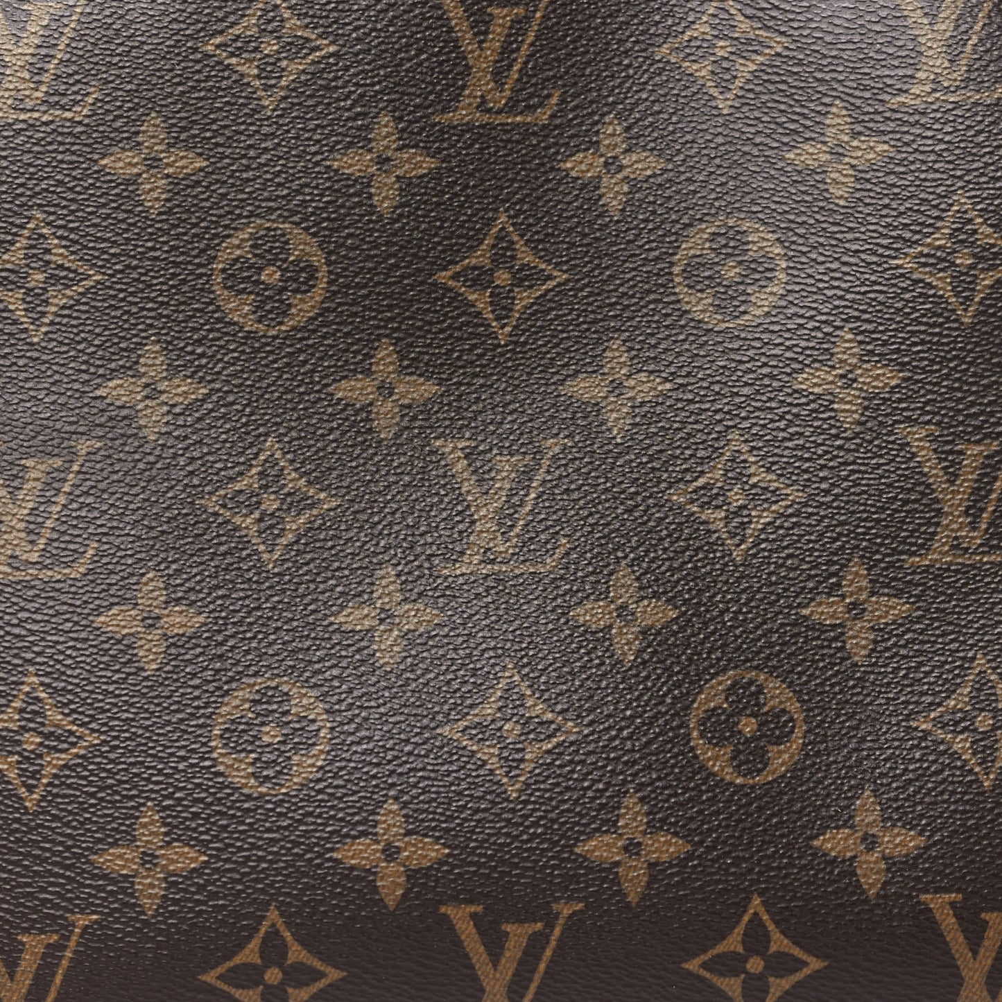 Monogram Petit Palais