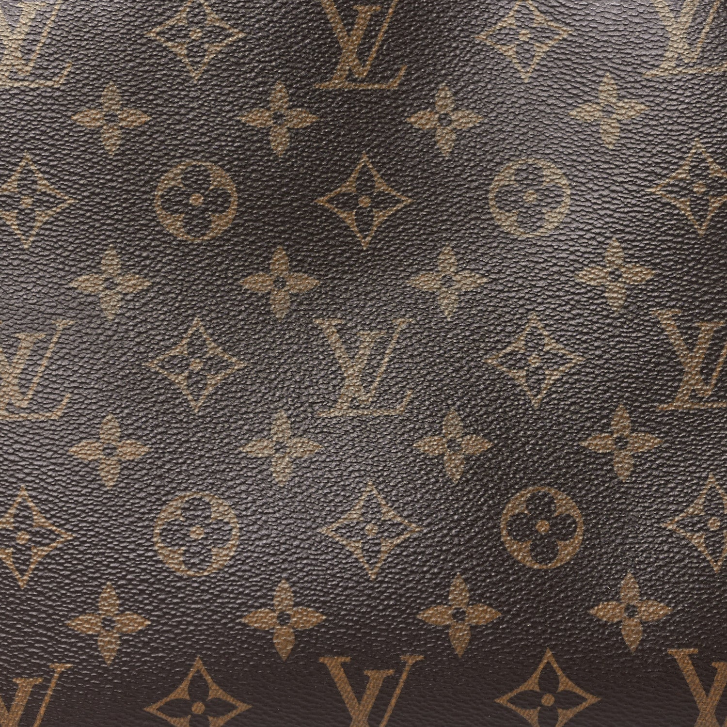 Louis Vuitton Monogram Petit Palais 6 of 9