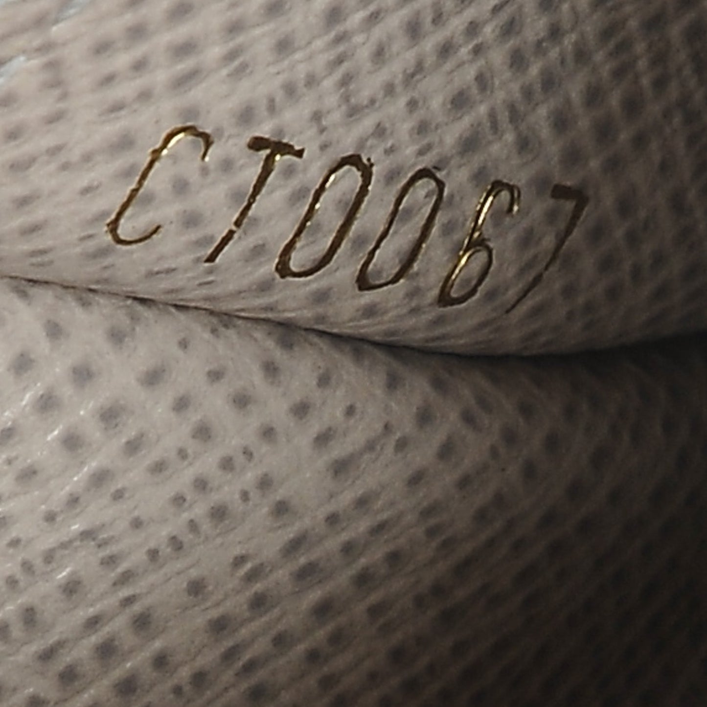 Monogram Dentelle Ludlow Wallet Silver