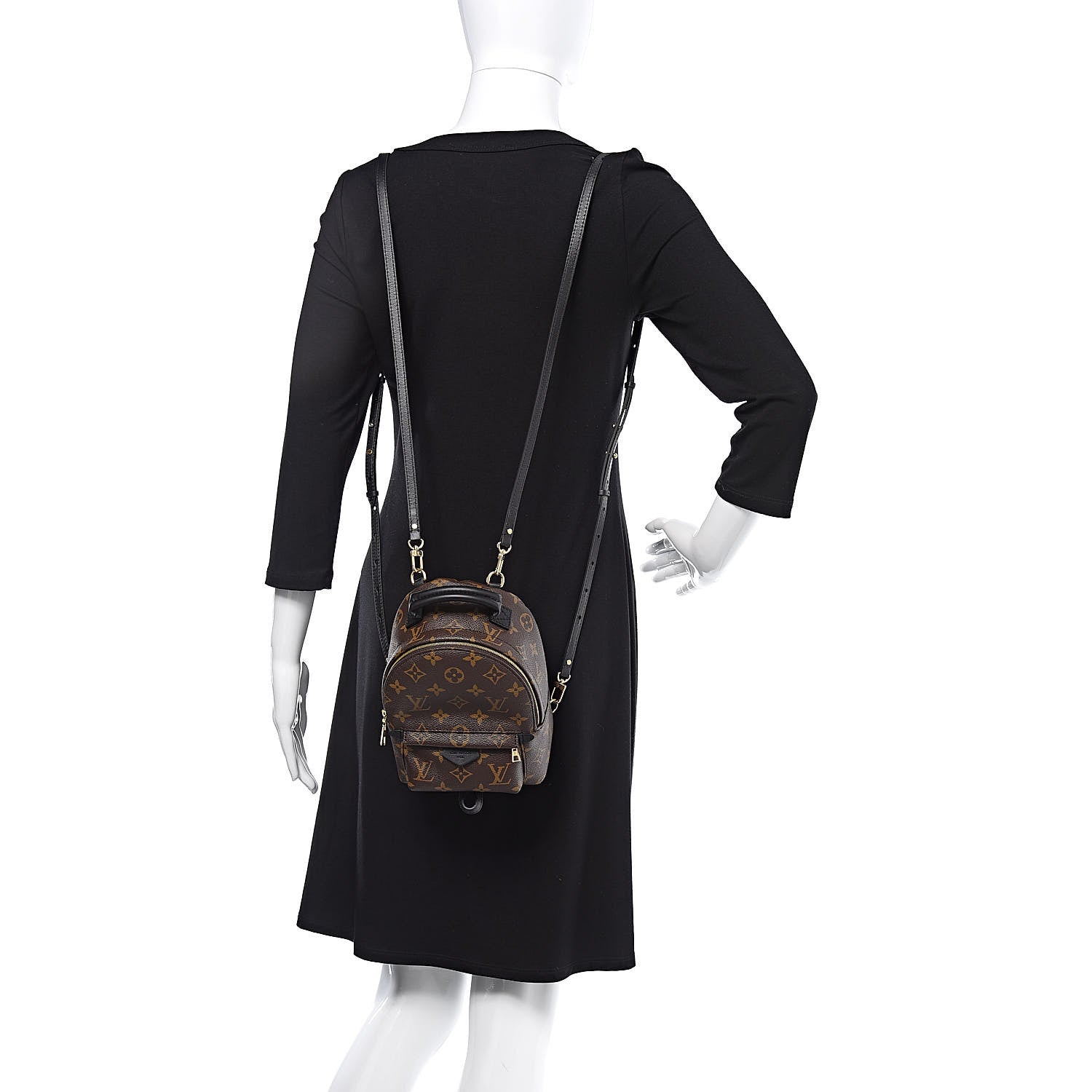 Louis Vuitton Monogram Palm Springs Backpack Mini 1 of 10