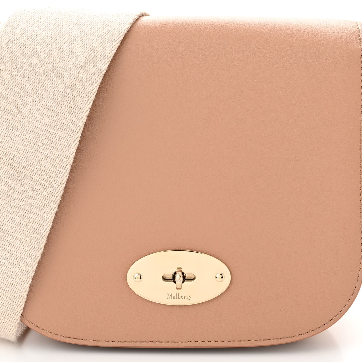 Mulberry Silky Calfskin Webbing Strap Small Darley Satchel Light Salmon 8 of 11