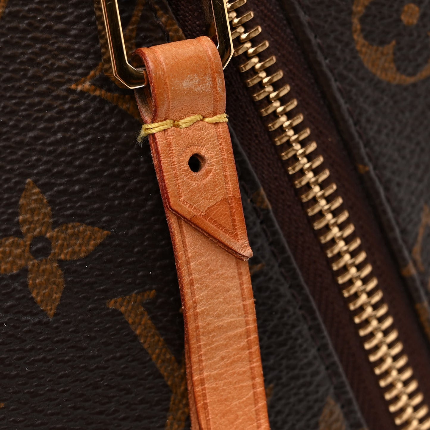 LOUIS VUITTON Monogram Delightful GM