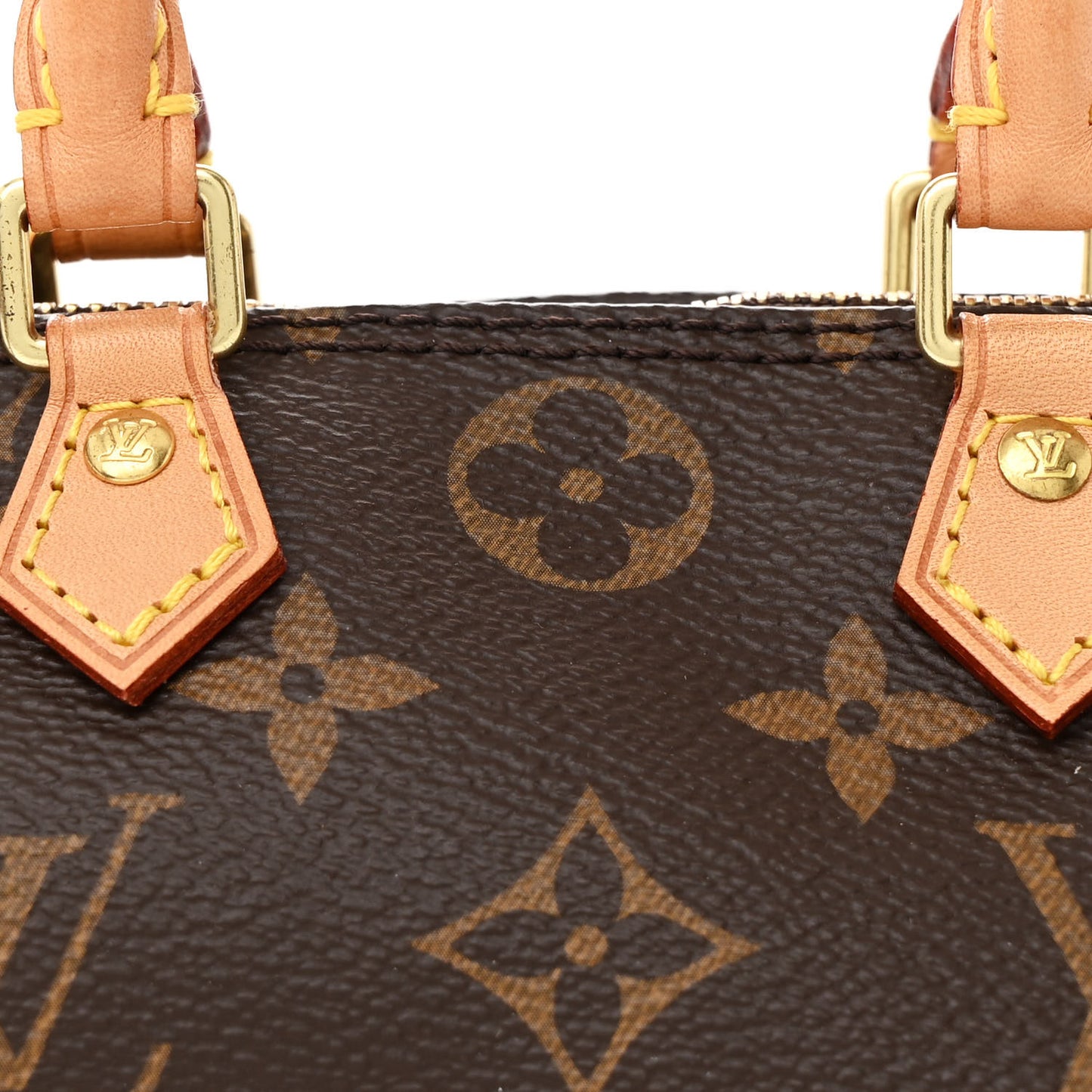 Monogram Nano Speedy