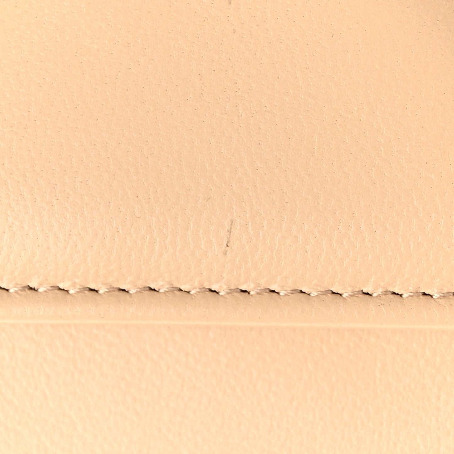 Shiny Goatskin Quilted Chanel 19 Flap Wallet Beige