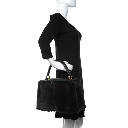 Louis Vuitton Mink Fur Capucines MM Dark Brown 2 of 9