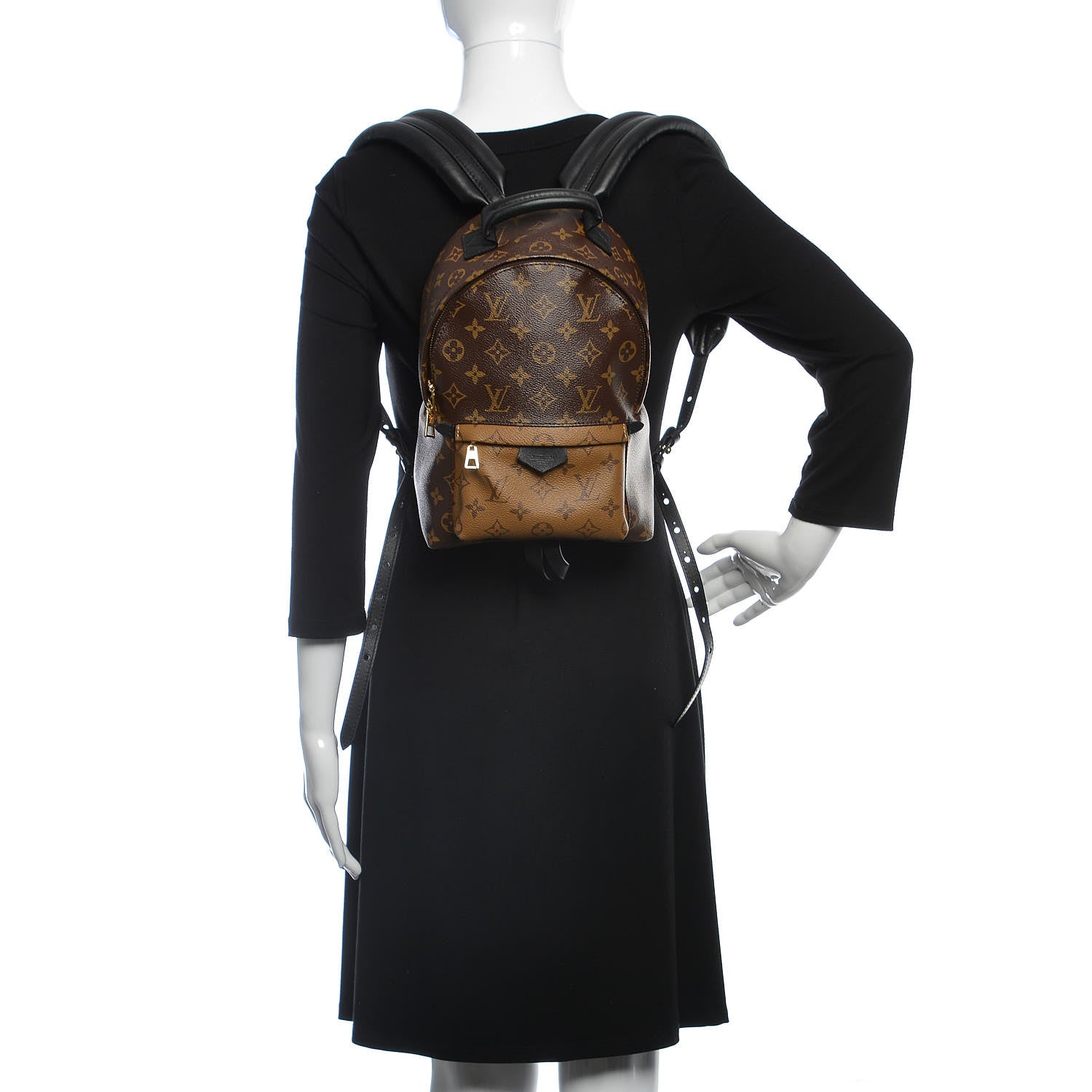 Louis Vuitton Reverse Monogram Palm Springs Backpack PM 2 of 12