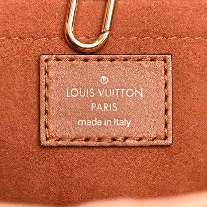 Louis Vuitton Kitted Raffia Petit Bucket Caramel 7 of 10