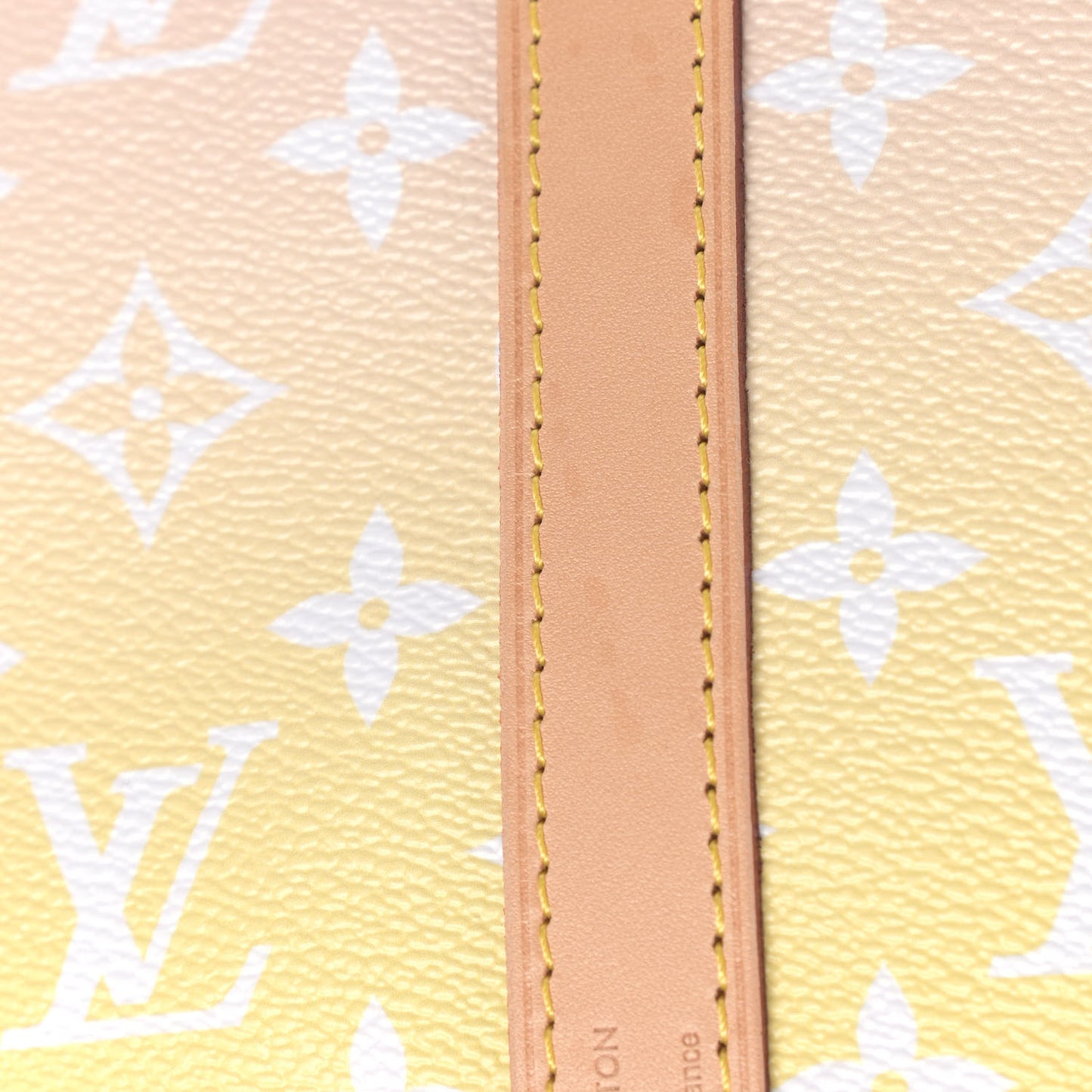 Monogram Giant By The Pool Speedy Bandouliere 25 Light Pink