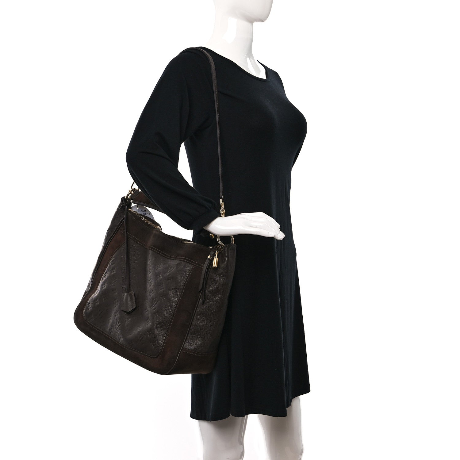 Louis Vuitton Empreinte Suede Audacieuse MM Ombre 2 of 8
