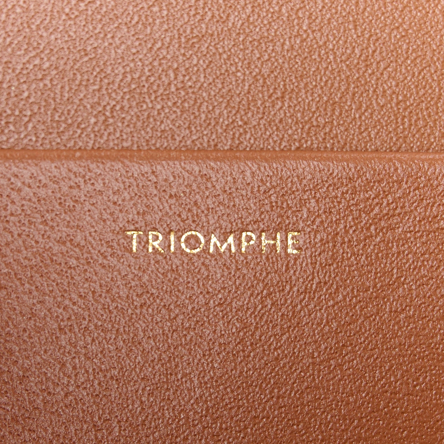 Celine Triomphe Canvas Calfskin Medium Triomphe Bag Tan 7 of 11