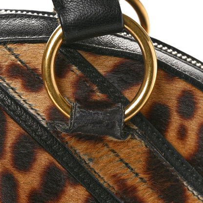 Saint Laurent Calf Hair Leopard Print Large Fauve 13 of 13