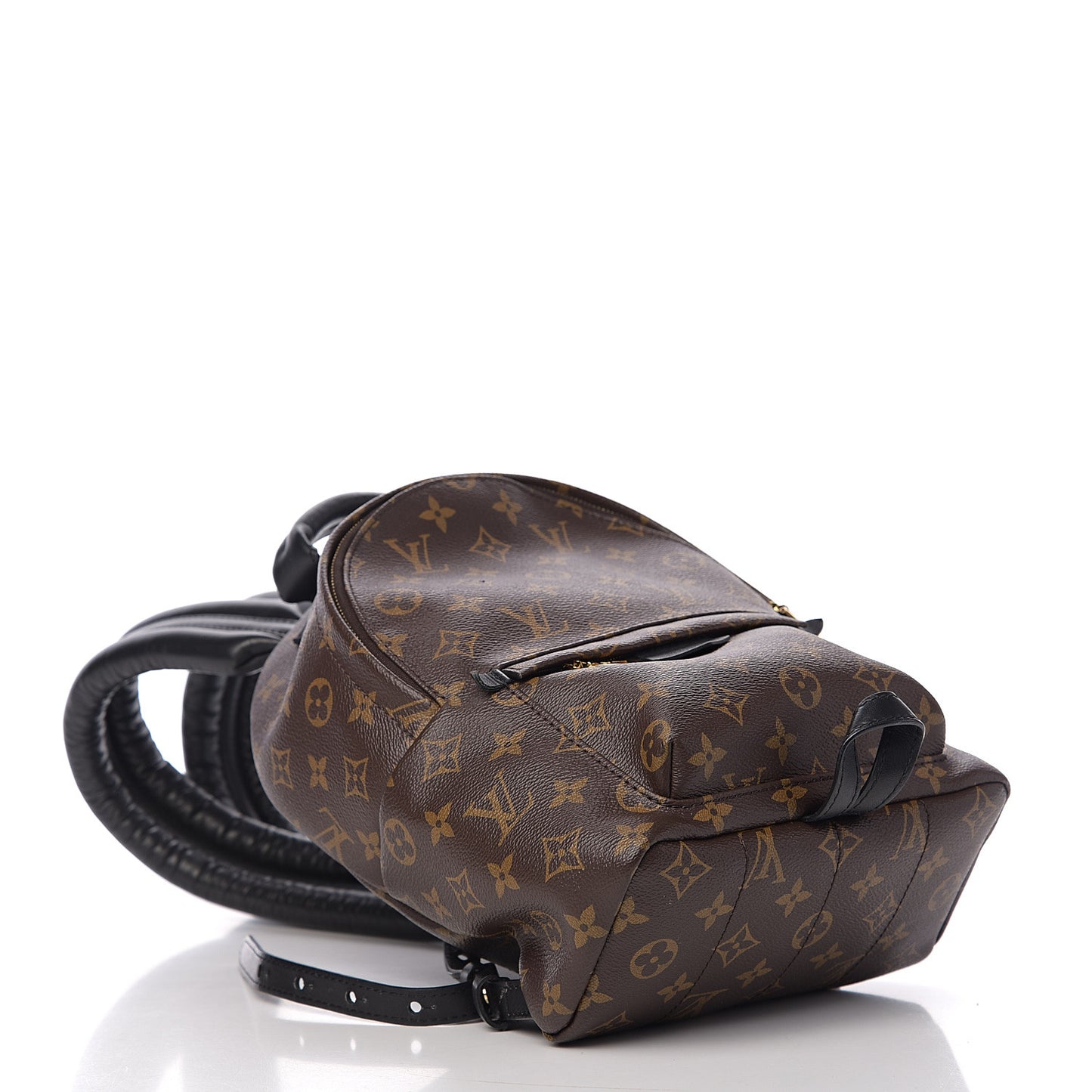 Monogram Palm Springs Backpack PM