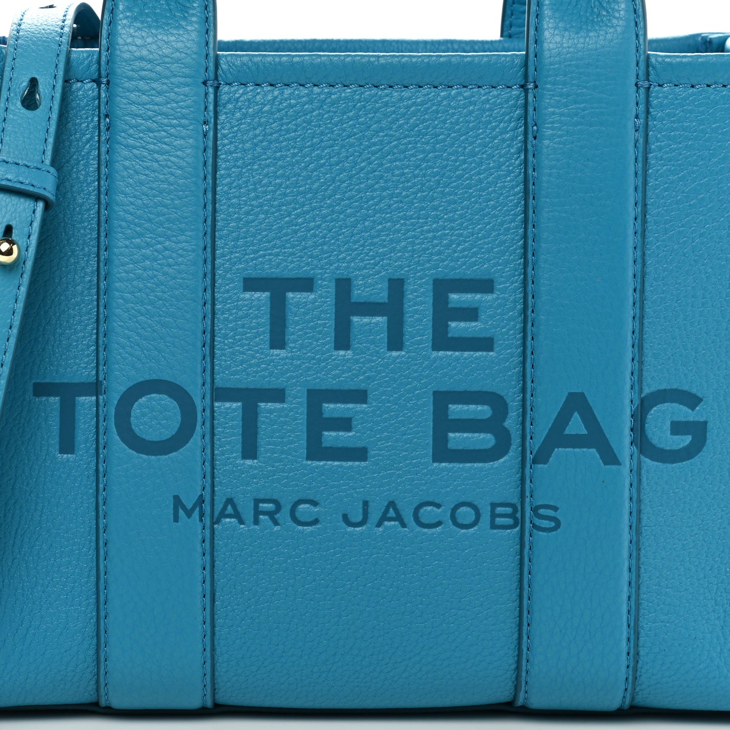 Grained Calfskin Small The Tote Bag Barrier Reef