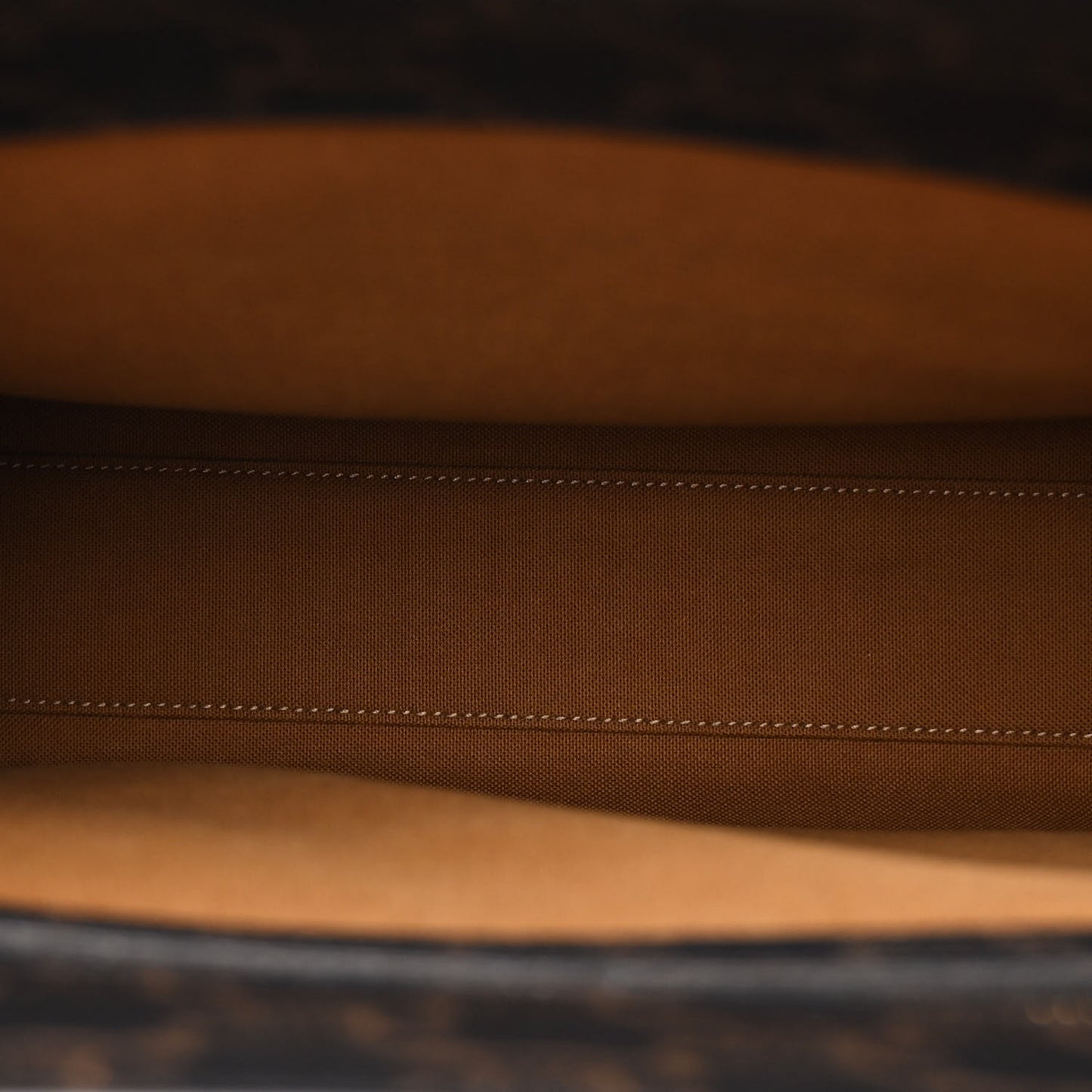 Triomphe Canvas Calfskin Small Vertical Cabas Tan