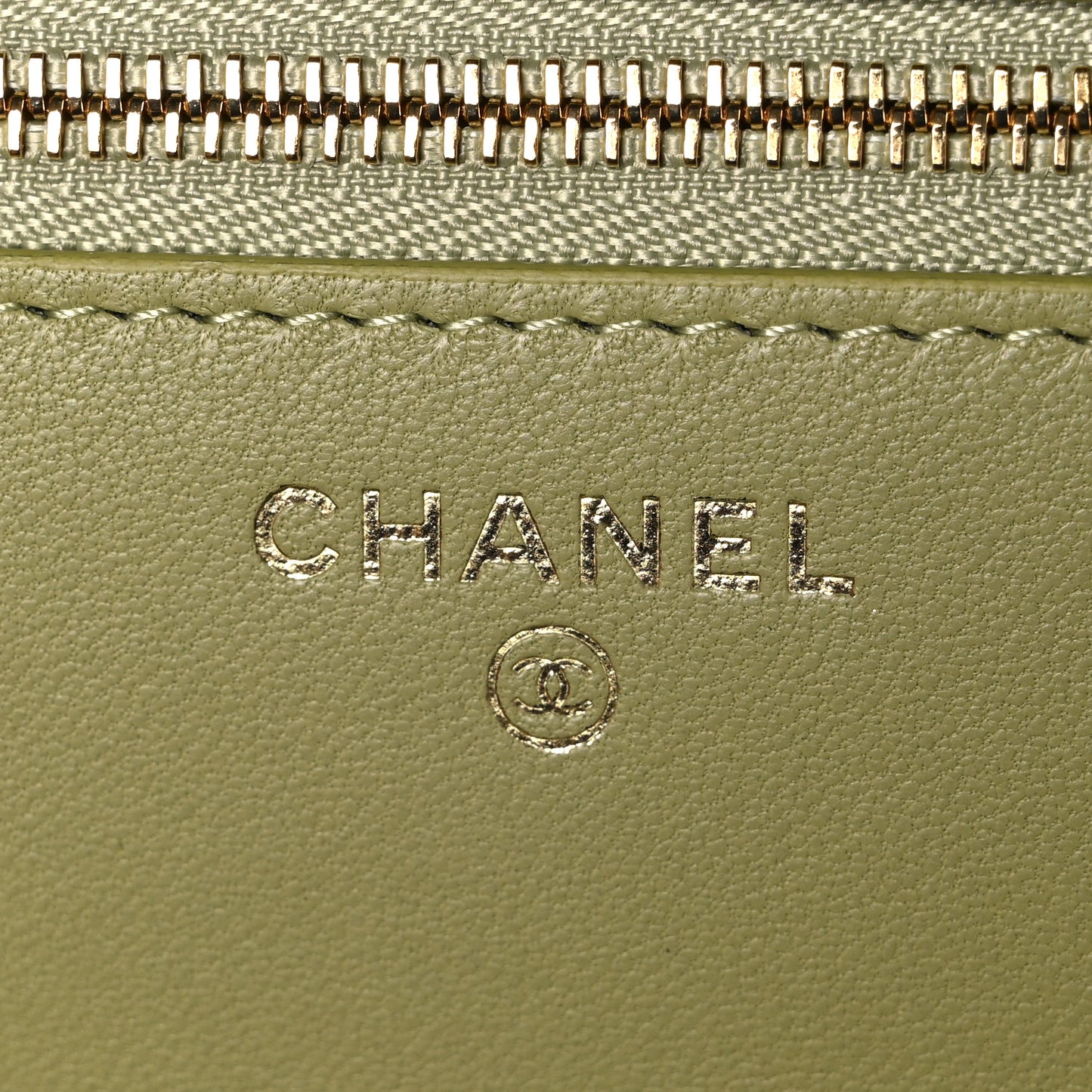 Shiny Lizard Wallet on Chain WOC Green