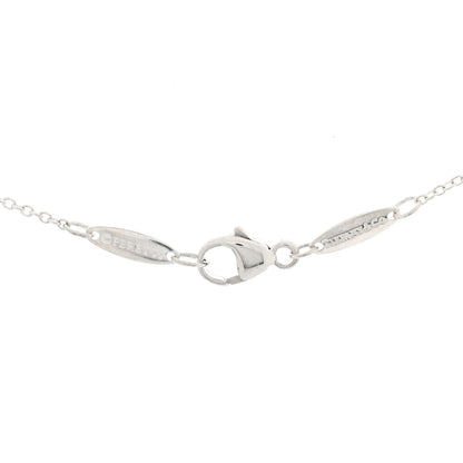 Tiffany Sterling Silver Tsavorite Garnet Elsa Peretti Color by the Yard Pendant Necklace 4 of 5