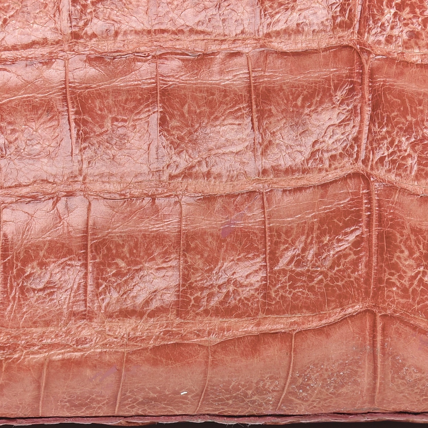 Nancy Gonzalez Crocodile Clutch Light Coral 14 of 14