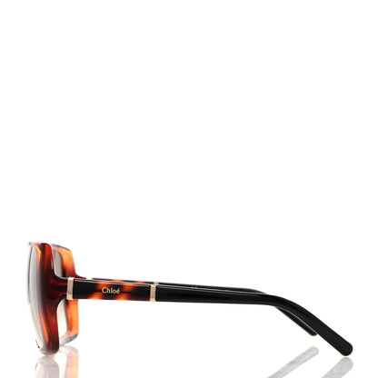 Chloe Oversized Round Sunglasses CE680S Tortoise 3 of 7