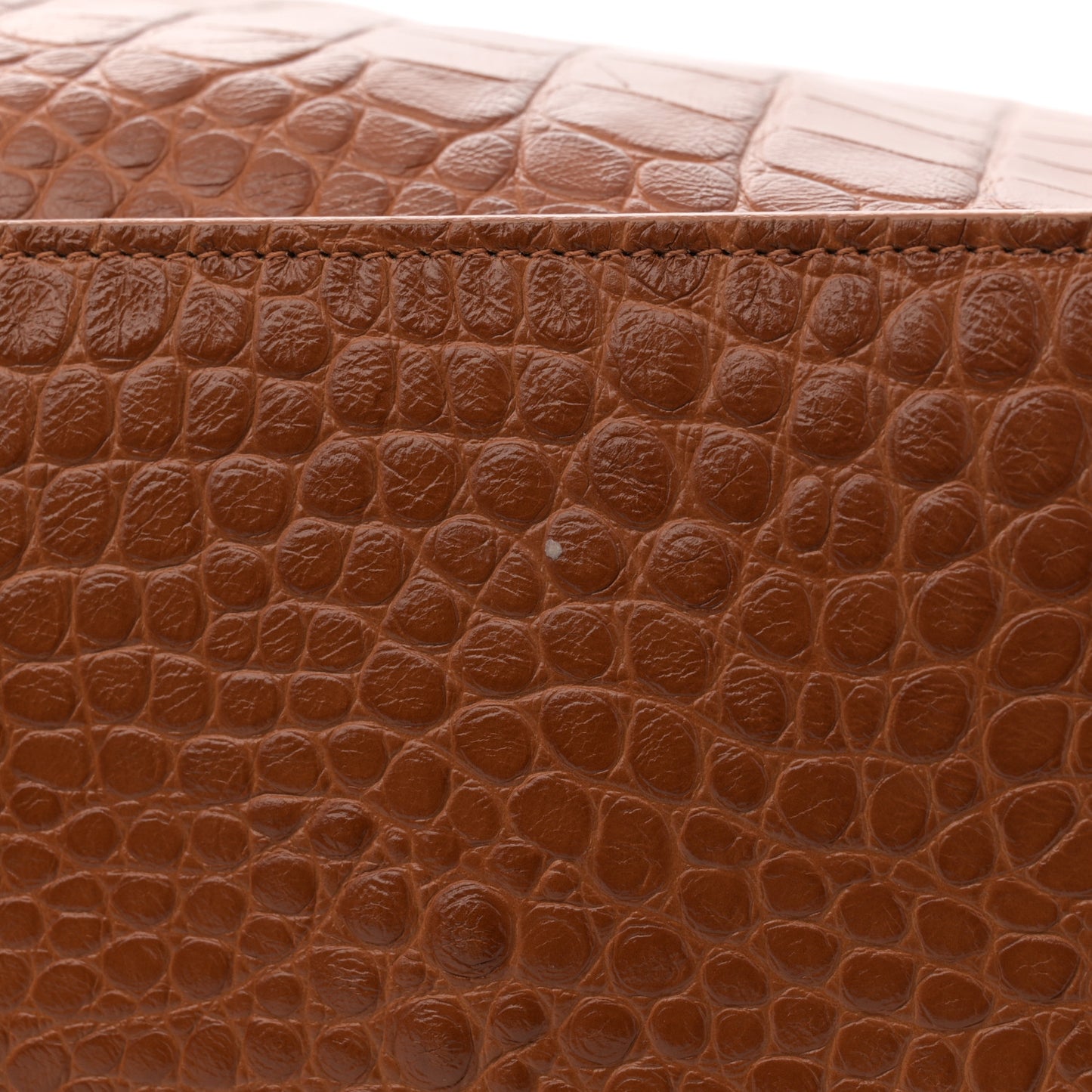 Extra Supple Calfskin Crocodile Embossed Small Tool 2.0 North-South Tote Camel