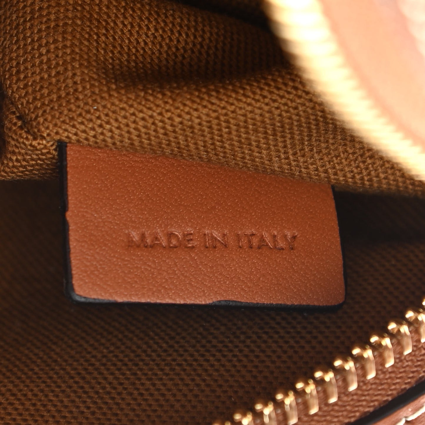 Triomphe Canvas Small Camera Bag Tan