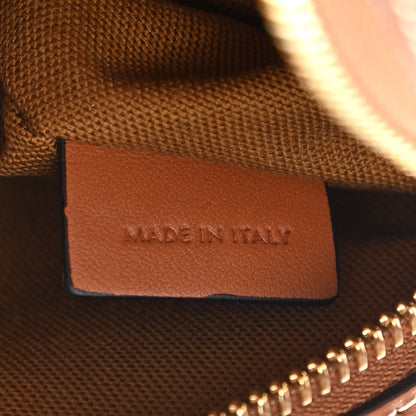Celine Triomphe Canvas Small Camera Bag Tan 10 of 10