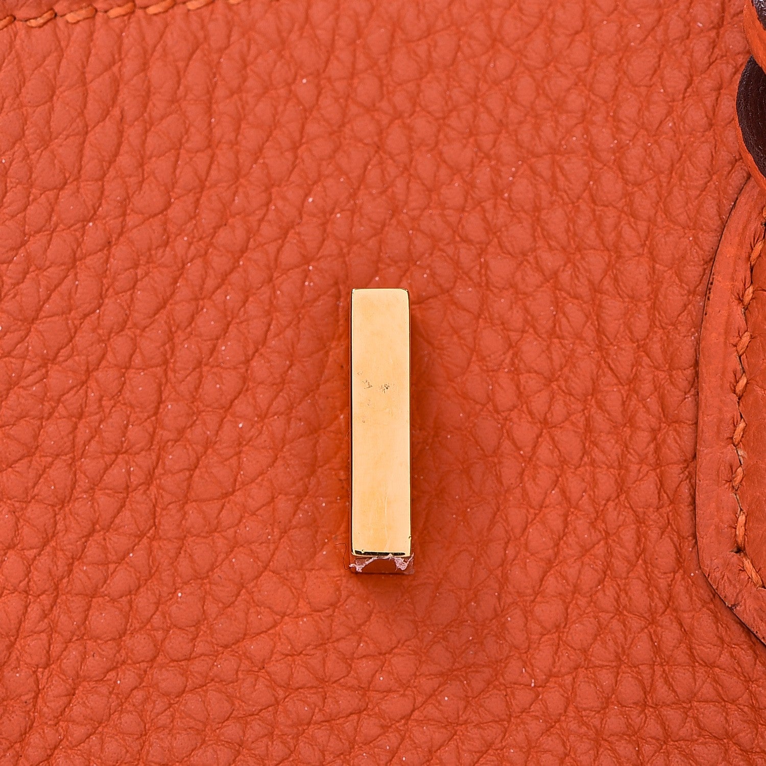 Hermes Togo Birkin 25 Feu 23 of 33