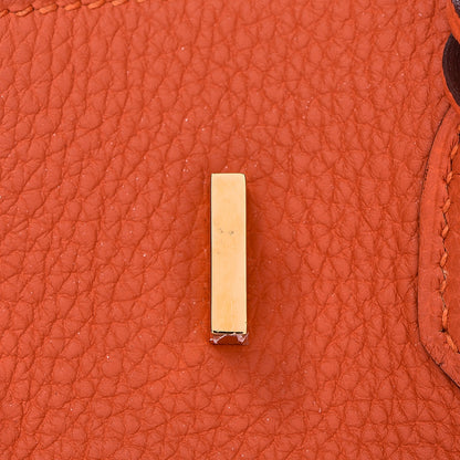 Hermes Togo Birkin 25 Feu 23 of 33