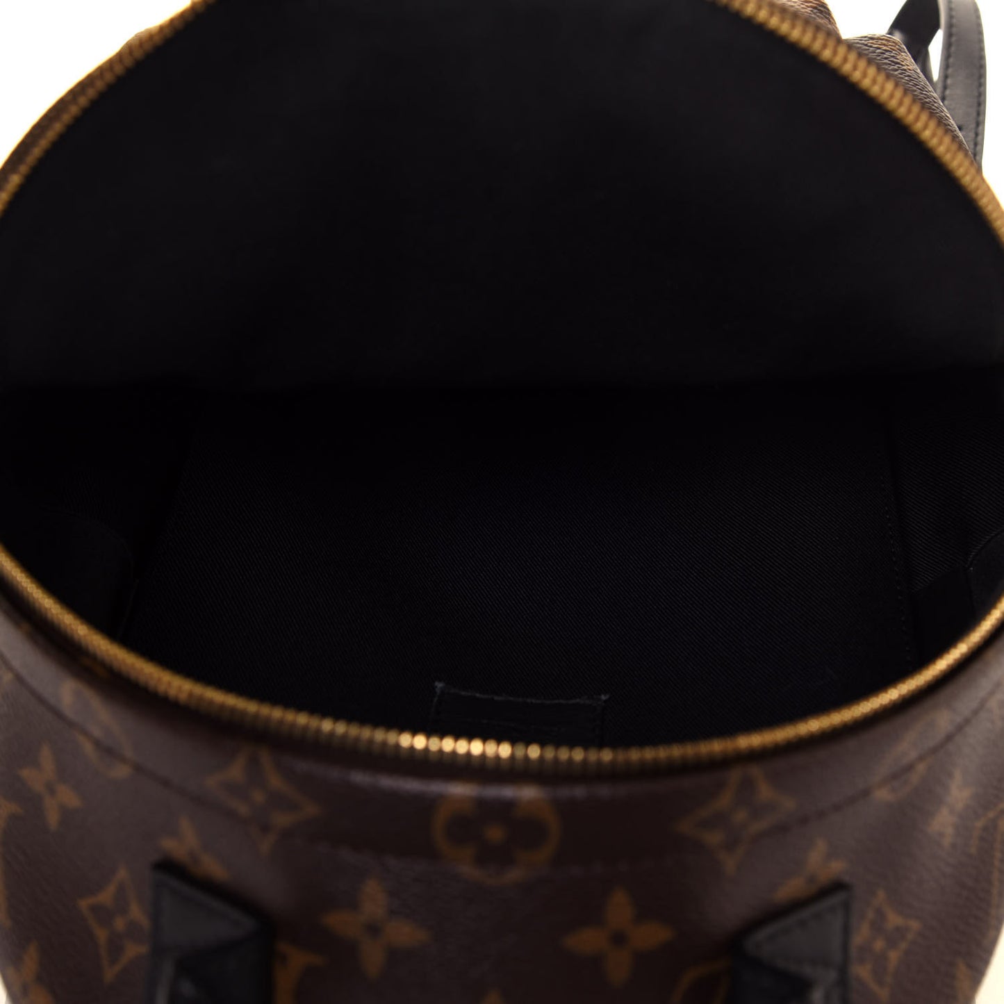 Reverse Monogram Palm Springs Backpack PM