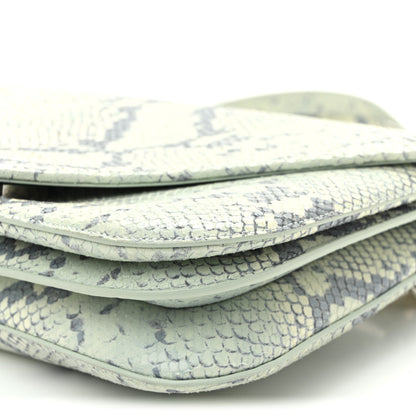 Bottega Veneta Snakeskin Mount Envelope Bag Green 10 of 10