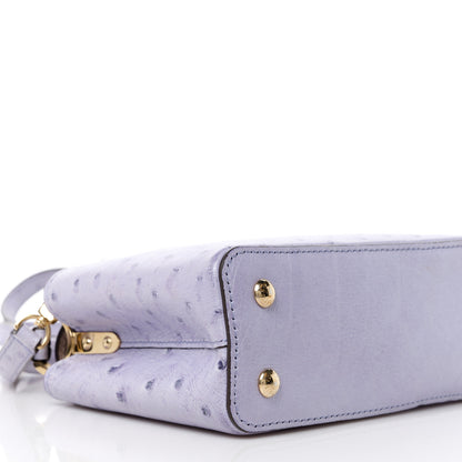 Louis Vuitton Ostrich Capucines Mini Grey 8 of 11