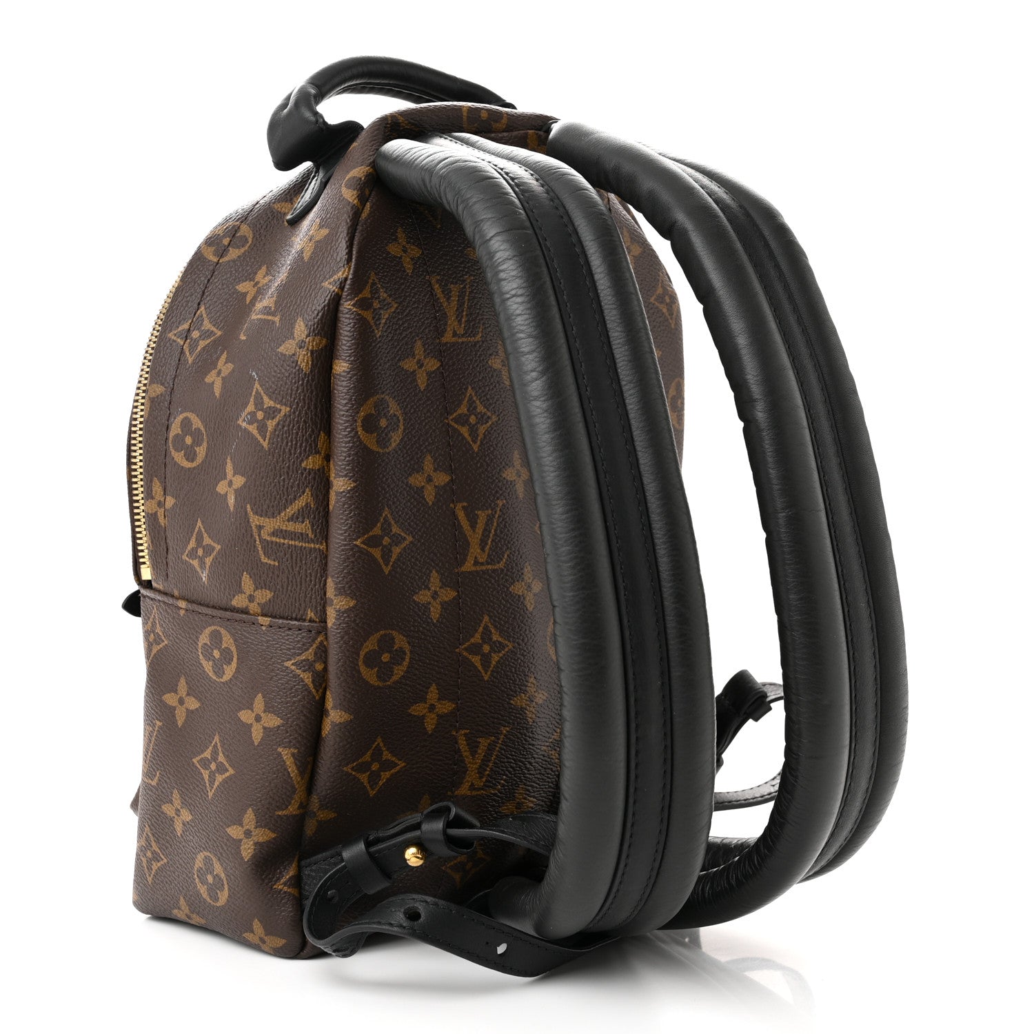 Louis Vuitton Monogram Palm Springs Backpack PM 3 of 12
