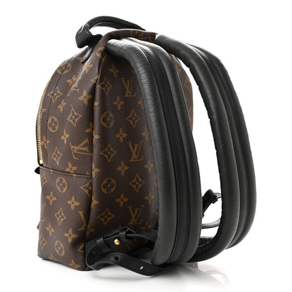 Louis Vuitton Monogram Palm Springs Backpack PM 3 of 12