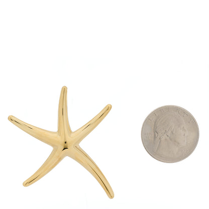 Tiffany 18K Yellow Gold Large Elsa Peretti Starfish Pendant 2 of 4