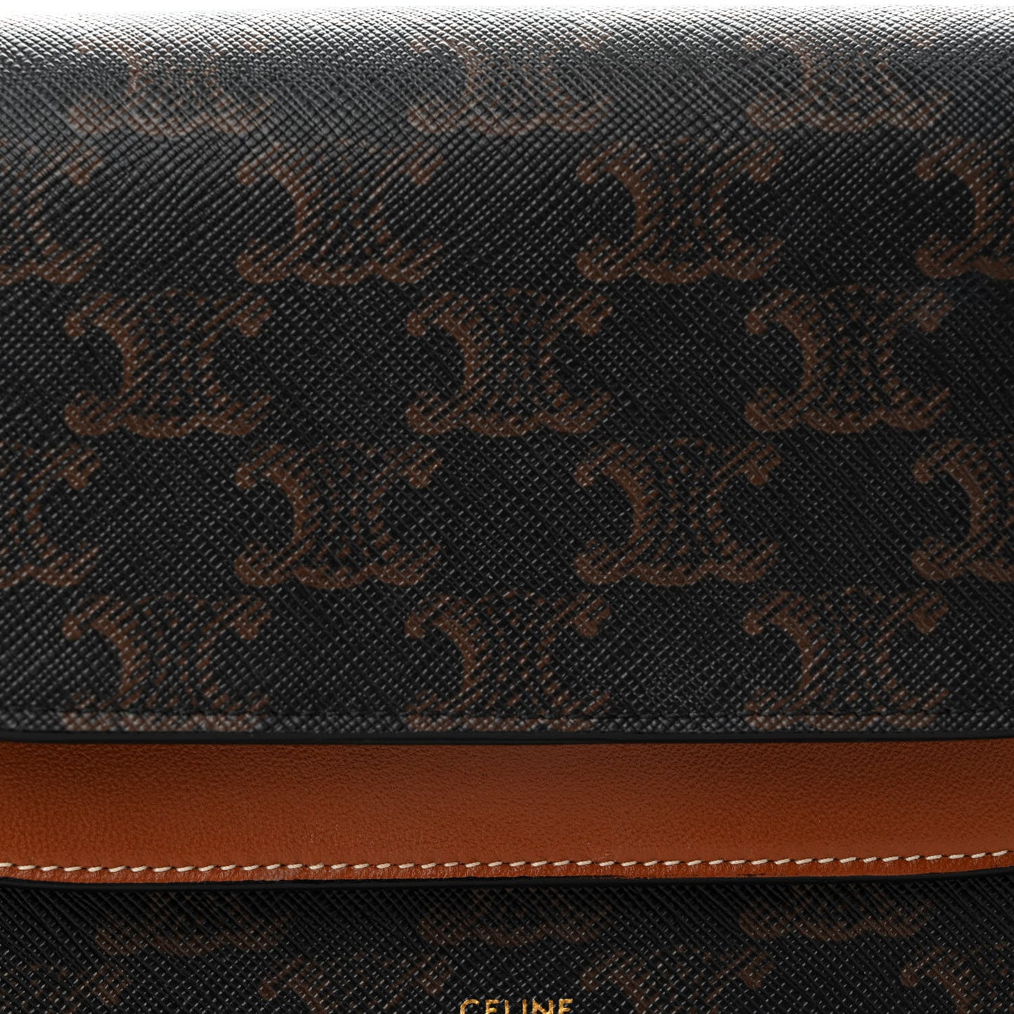 Triomphe Canvas Lambskin Wallet On Strap Tan