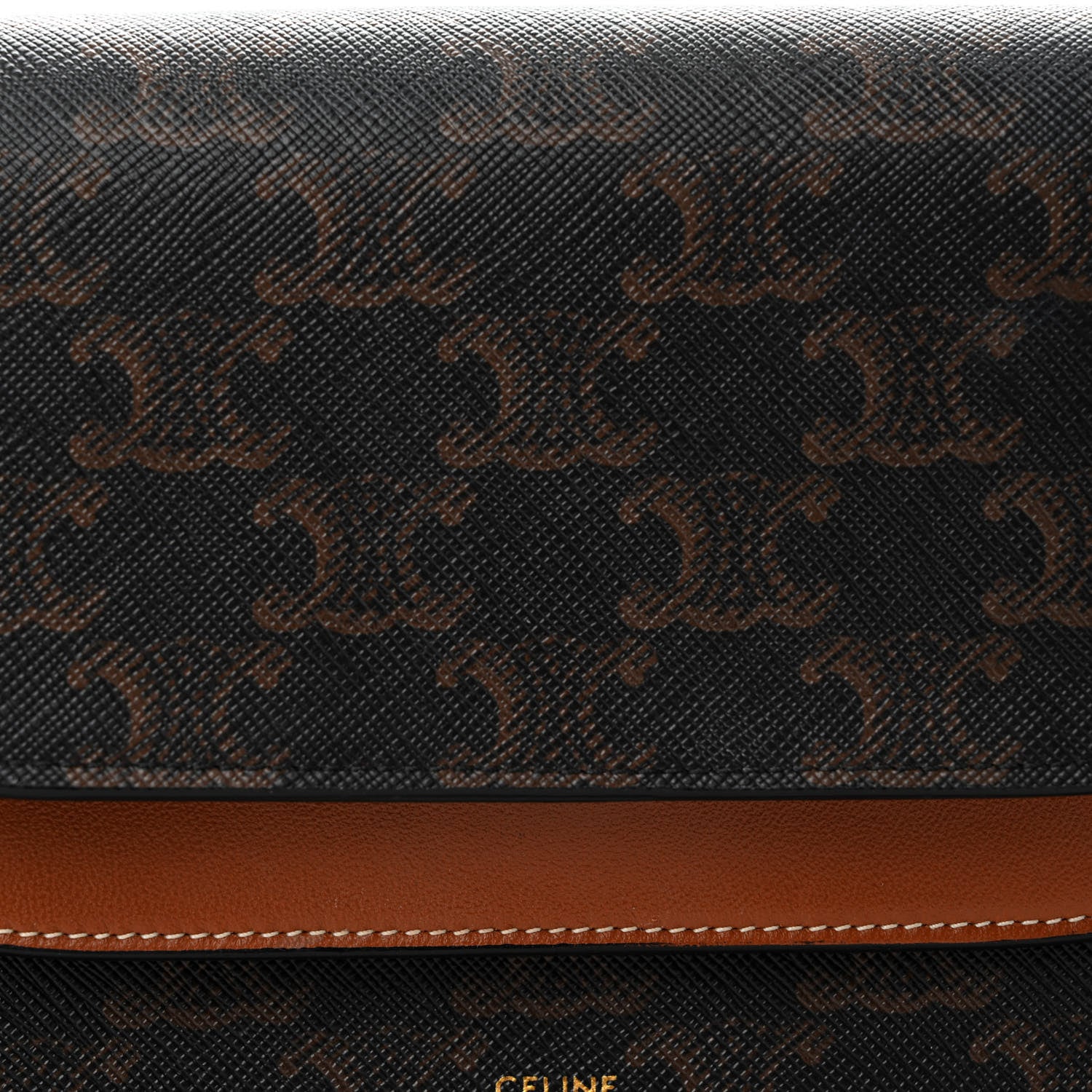 Celine Triomphe Canvas Lambskin Wallet On Strap Tan 9 of 12