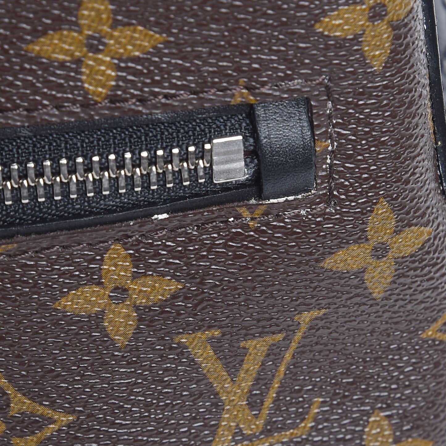 Monogram Macassar Torres PM