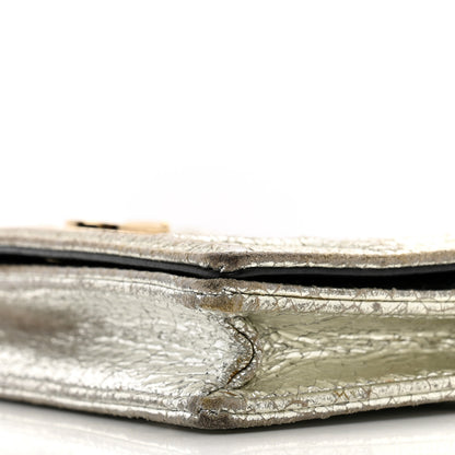Christian Dior Metallic Ceramic Effect Deerskin Diorama Wallet on Chain Pouch Silver 9 of 12
