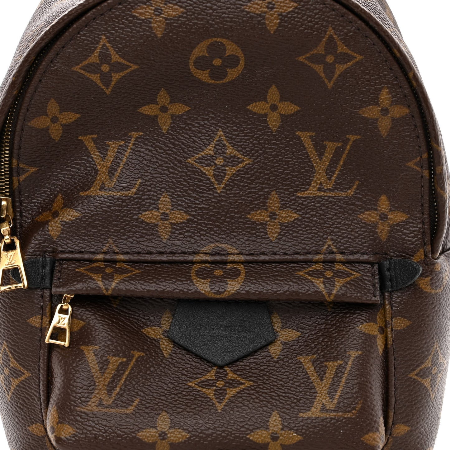 Monogram Palm Springs Backpack Mini