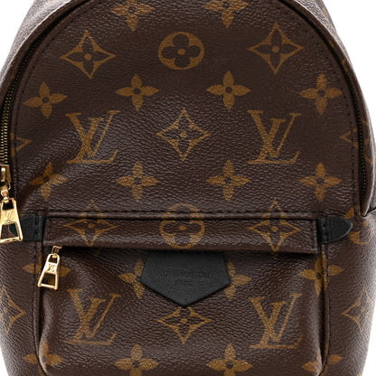 Louis Vuitton Monogram Palm Springs Backpack Mini 7 of 12