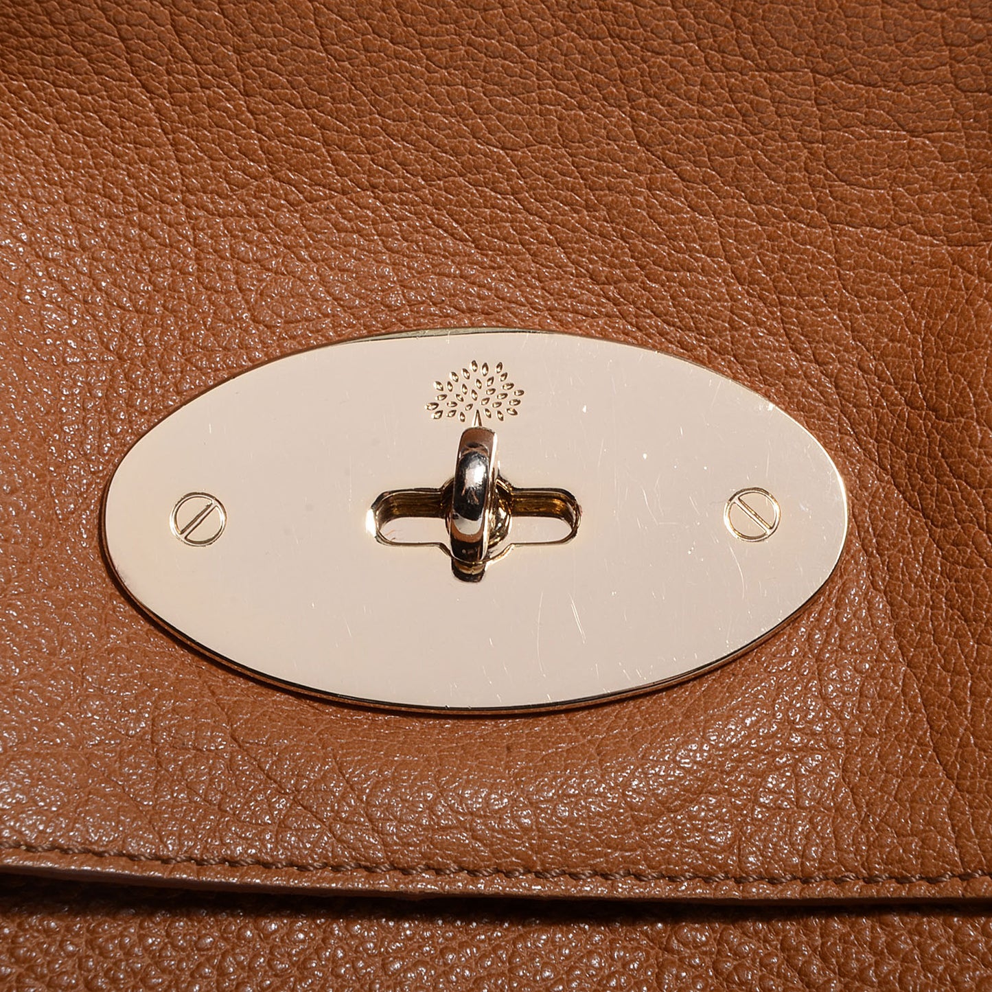 Buffalo Shine Bayswater Deer Brown