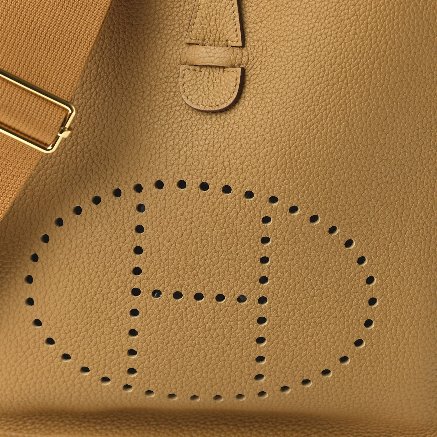 Taurillon Maurice Evelyne III PM Sesame
