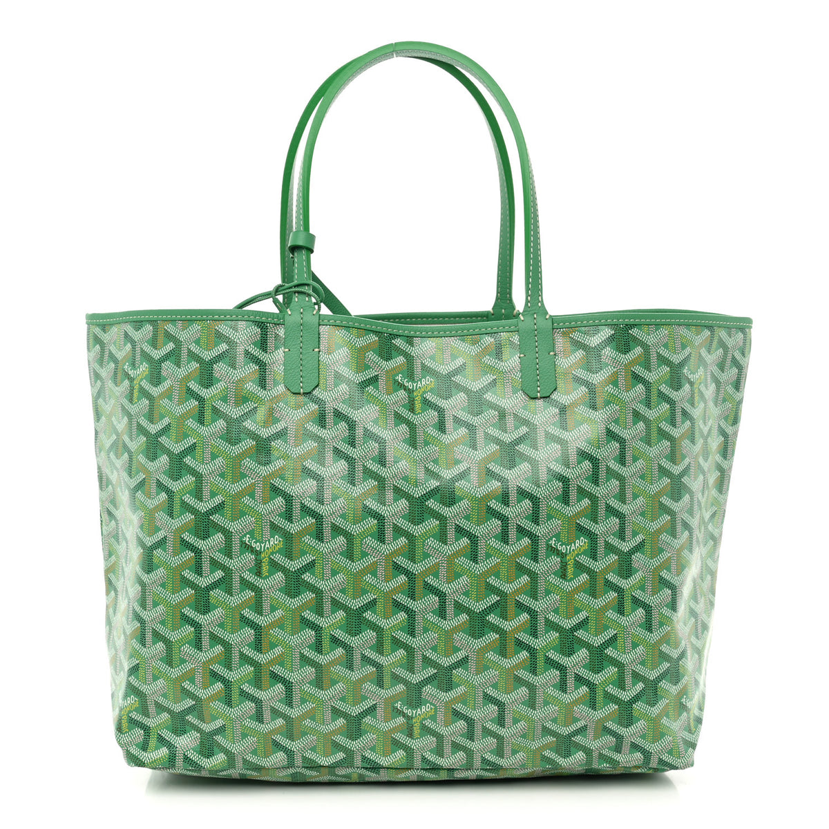 Goyard Goyardine Saint Louis PM Meadow Green 1 of 11