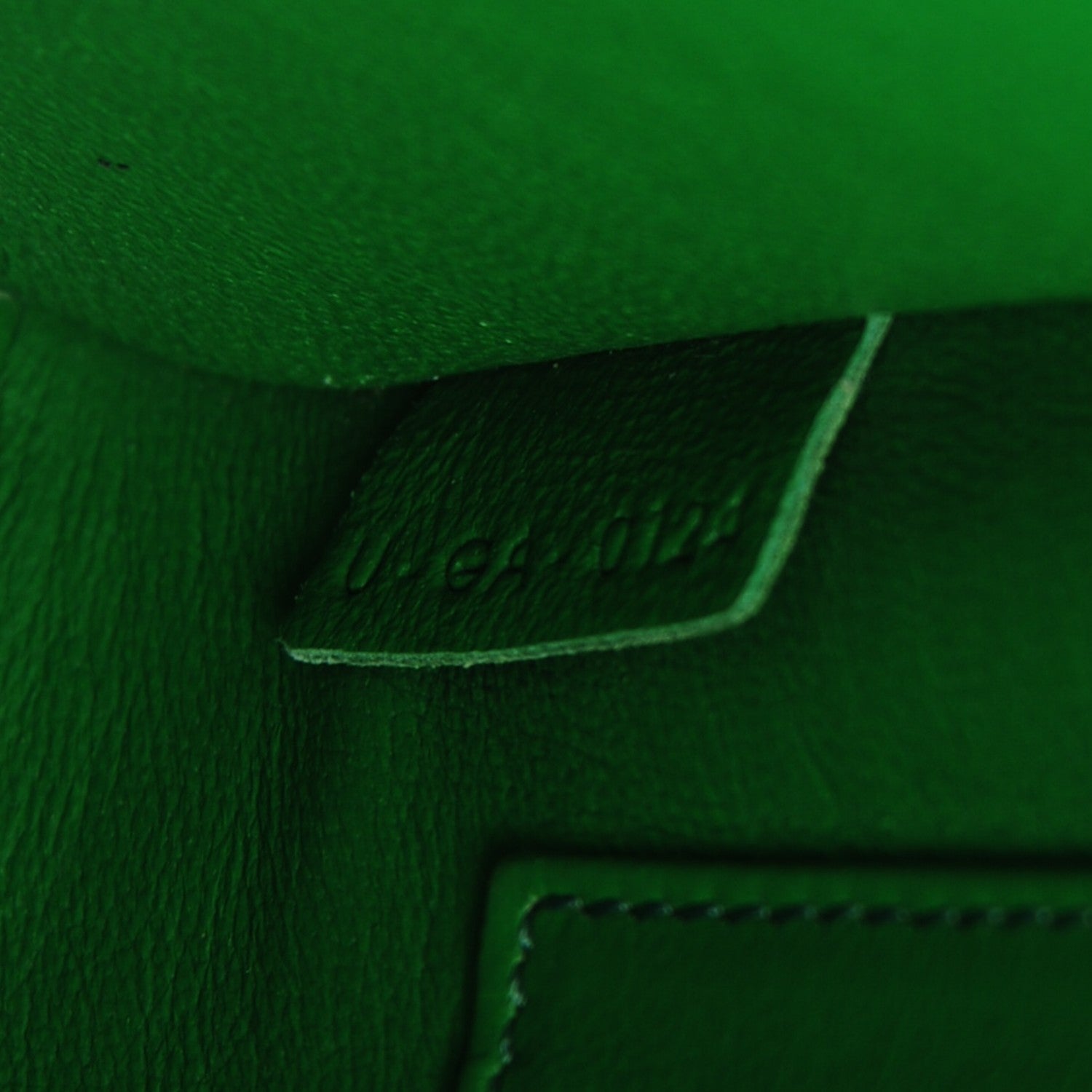 Celine Python Nano Luggage Grass Green 9 of 11