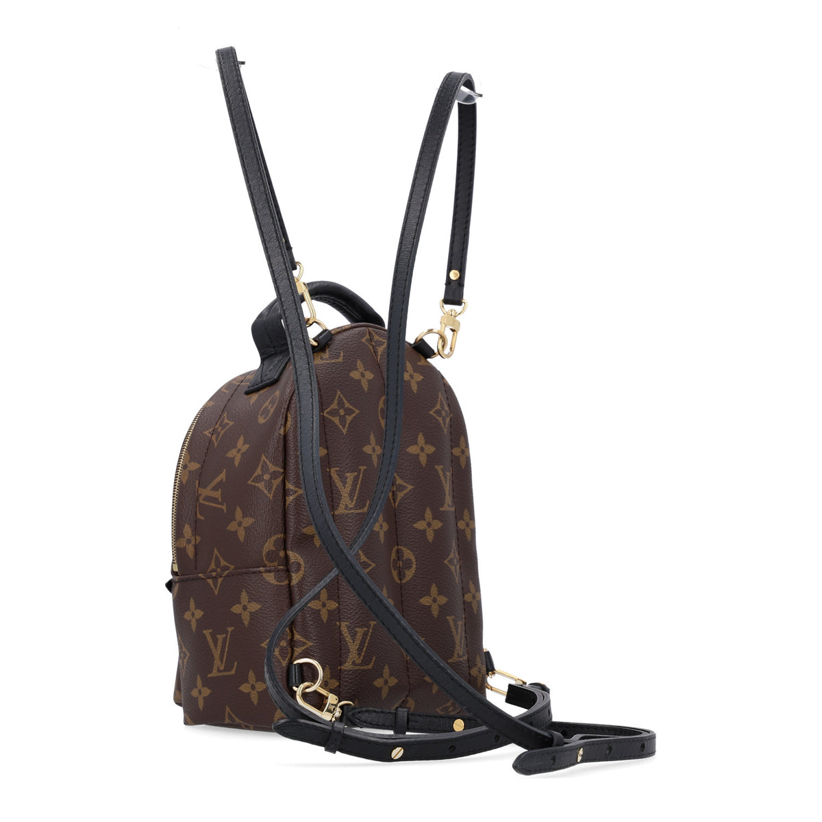 Monogram Palm Springs Backpack Mini