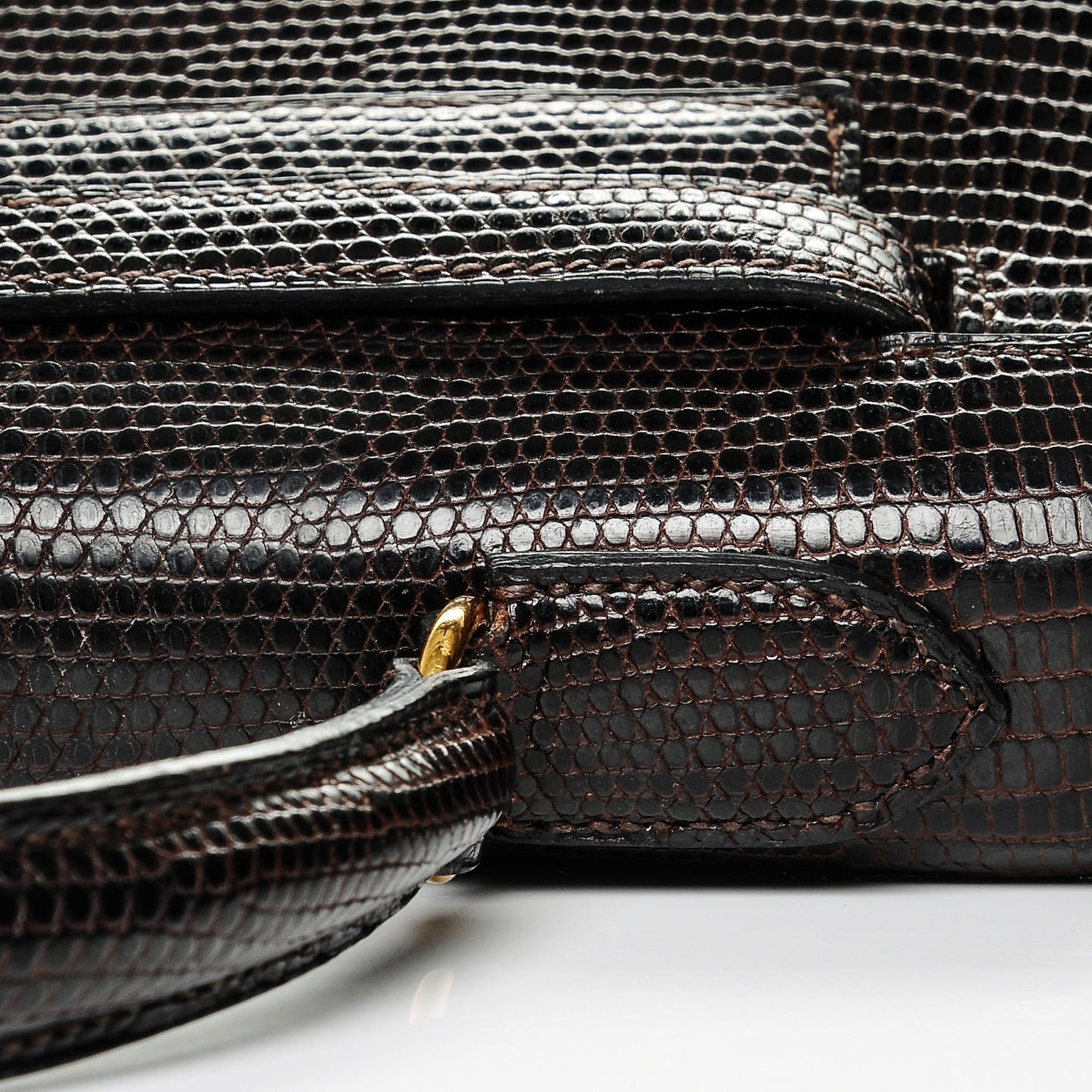 Shiny Lizard Kelly 28 Havane