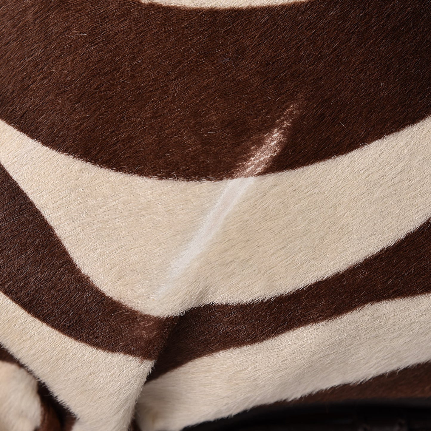 Pony Hair Zebra Print Shoulder Bag