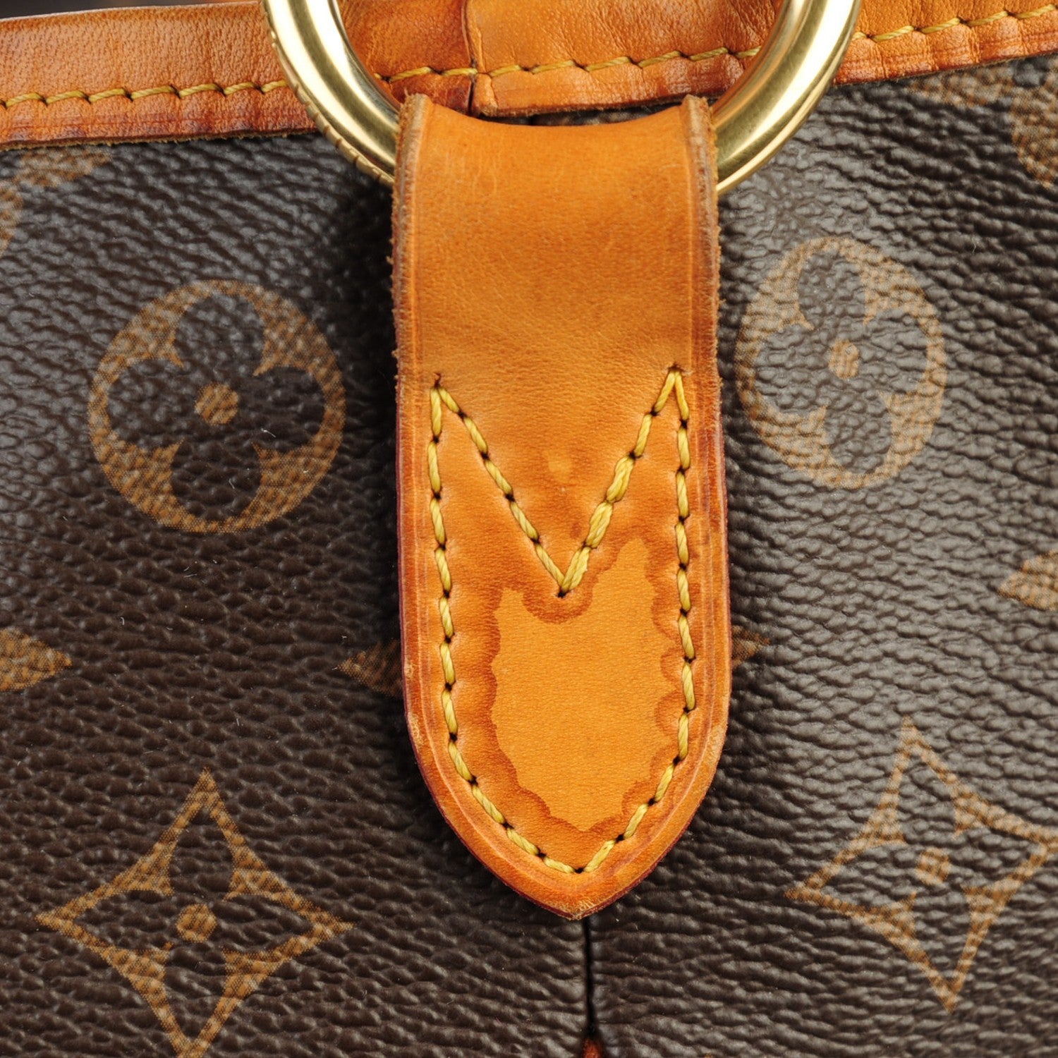 Louis Vuitton Monogram Delightful PM 11 of 15