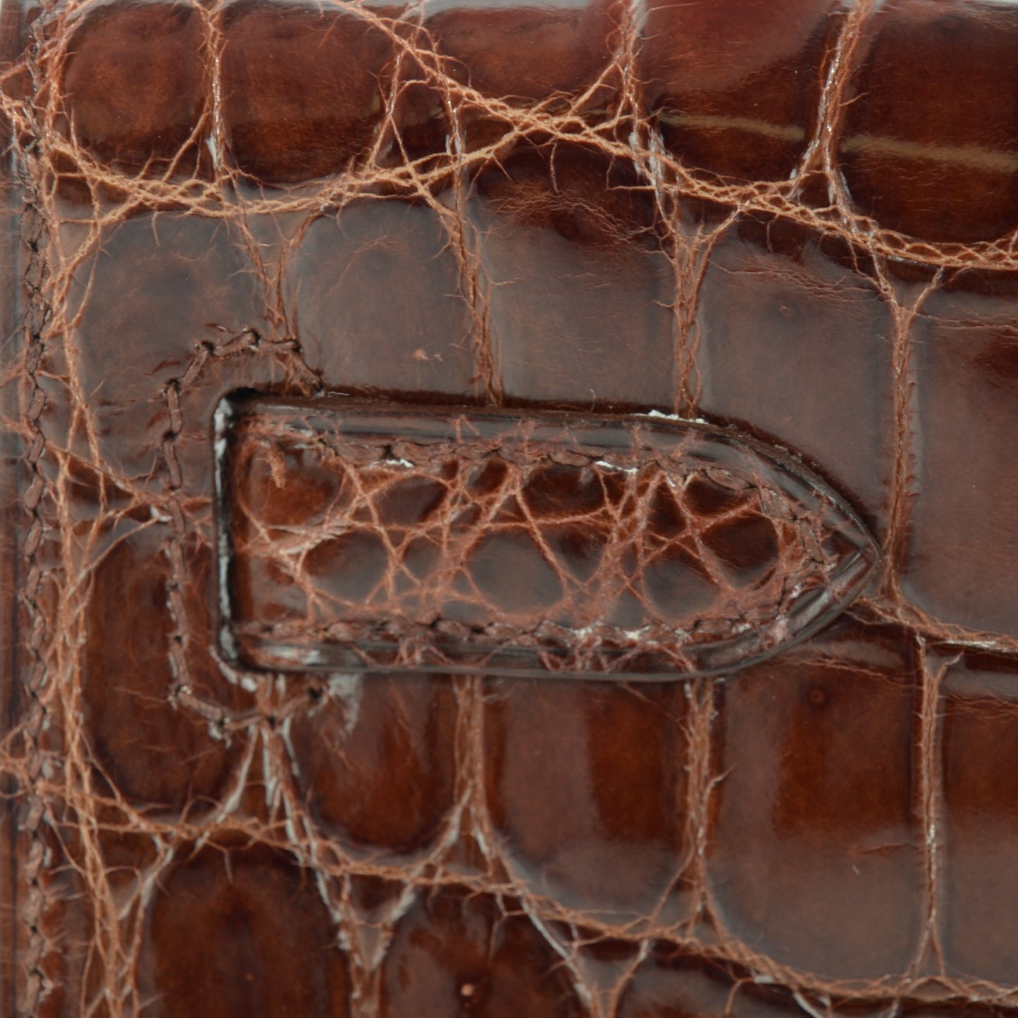 Shiny Niloticus Crocodile Kelly Cut Pochette Miel