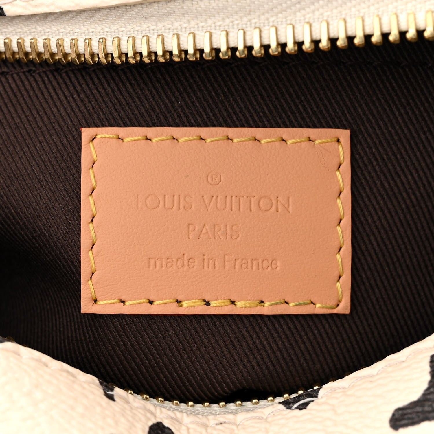 Louis Vuitton LOUIS VUITTON X TYLER THE CREATOR Monogram Craggy Mini Soft Trunk Vanilla 6 of 9